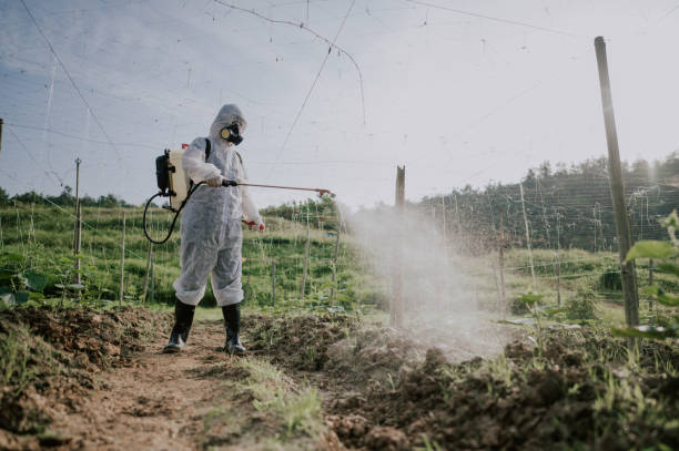 Best Pest Control for Restaurants  in Cassville, WV