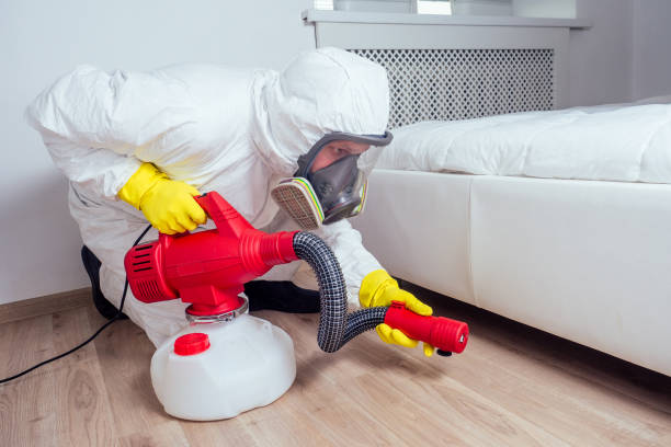 Best Local Pest Control Services  in Cassville, WV