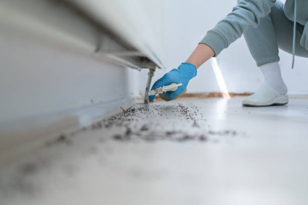 Best Best Pest Control Companies  in Cassville, WV